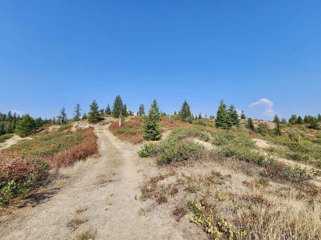 1700 Hershaw Rd, Newport, WA 99156