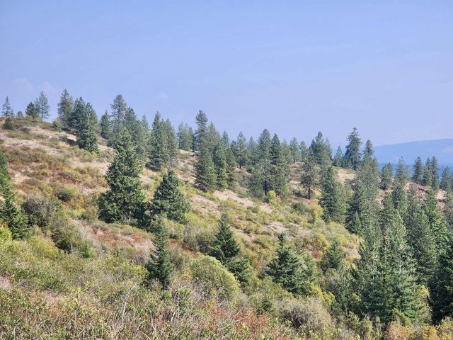 1700 Hershaw Rd, Newport, WA 99156