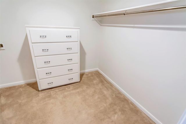 8615 La Fonte Street, Houston, TX 77024