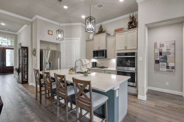 106 Gray Vervain Court, Montgomery, TX 77316
