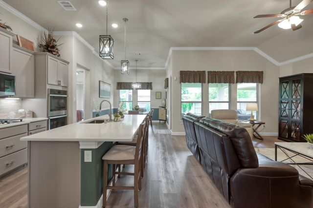 106 Gray Vervain Court, Montgomery, TX 77316