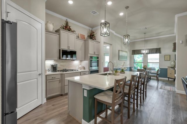 106 Gray Vervain Court, Montgomery, TX 77316