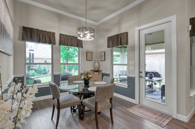 106 Gray Vervain Court, Montgomery, TX 77316