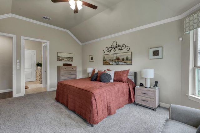 106 Gray Vervain Court, Montgomery, TX 77316