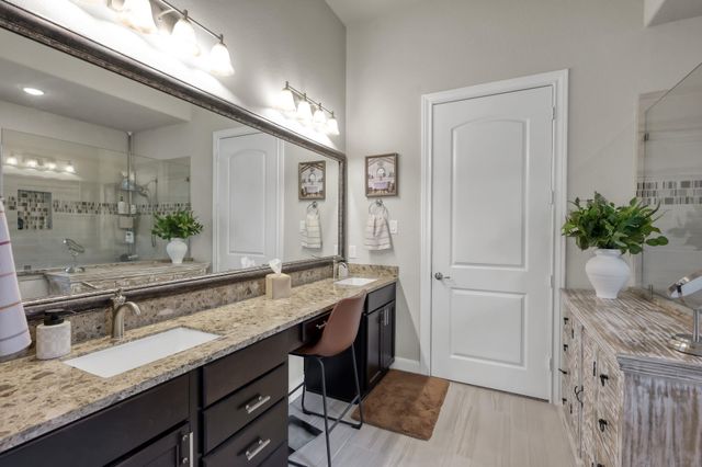106 Gray Vervain Court, Montgomery, TX 77316