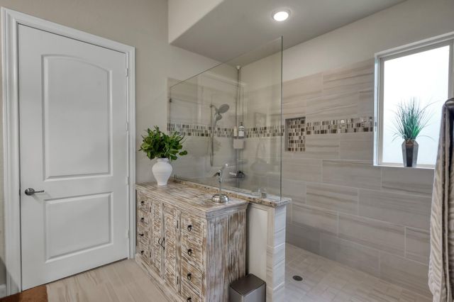 106 Gray Vervain Court, Montgomery, TX 77316