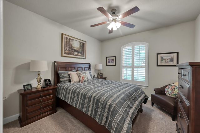 106 Gray Vervain Court, Montgomery, TX 77316