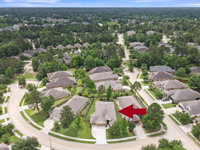 106 Gray Vervain Court, Montgomery, TX 77316