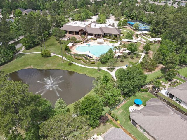 106 Gray Vervain Court, Montgomery, TX 77316
