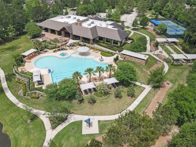 106 Gray Vervain Court, Montgomery, TX 77316