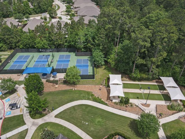 106 Gray Vervain Court, Montgomery, TX 77316