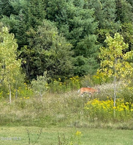 113 Bluebird Lane, Gloversville, NY 12078