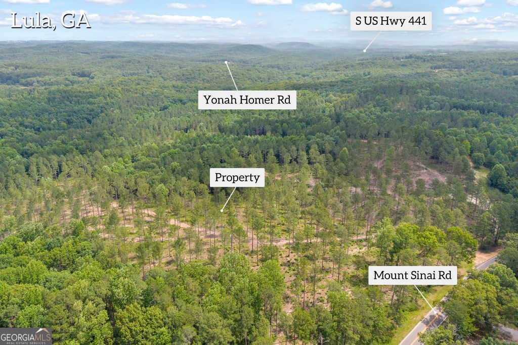 0 Mt. Sinai LOT 4, Lula, GA 30554 — photo 5