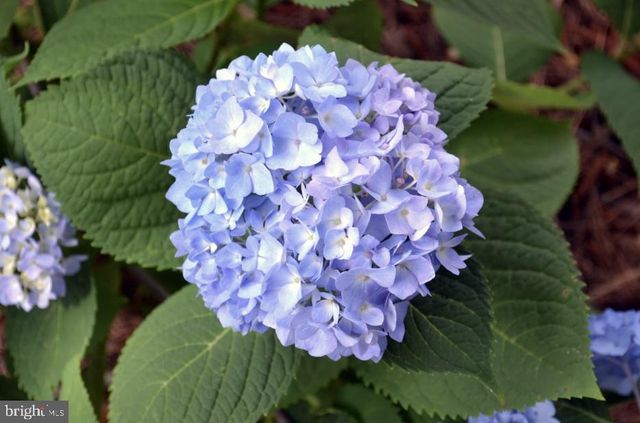 5609 WOODCREST AVE, Baltimore, MD 21215