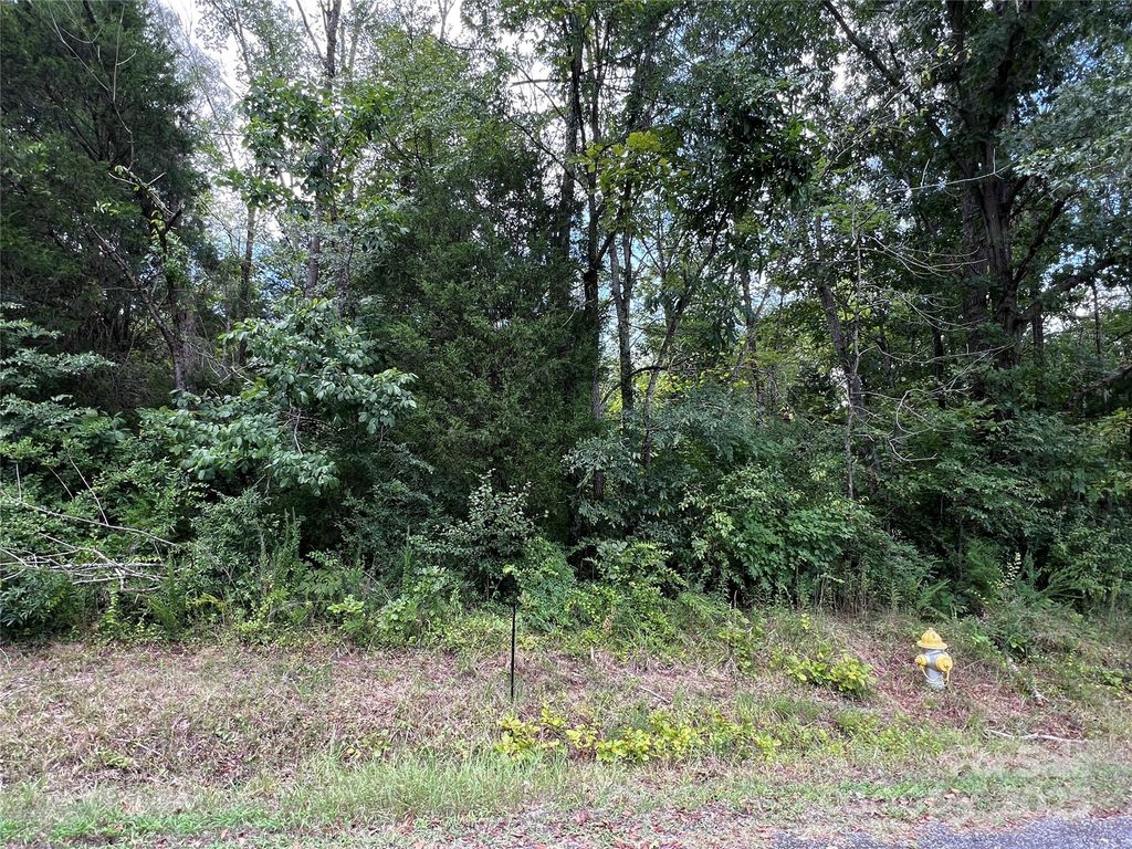 0 Lincoln Street, Salisbury, NC 28144