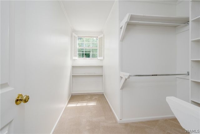 2438 Trenton, Tuscaloosa, AL 35406