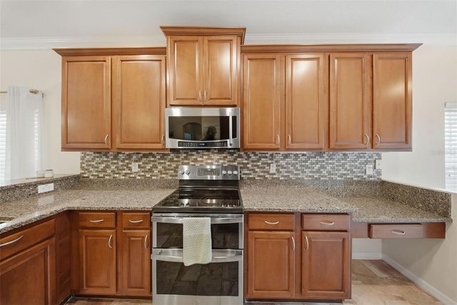 20115 INDIAN ROSEWOOD DRIVE, Tampa, FL 33647