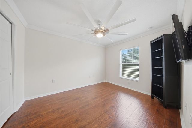 20115 INDIAN ROSEWOOD DRIVE, Tampa, FL 33647