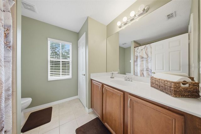 20115 INDIAN ROSEWOOD DRIVE, Tampa, FL 33647