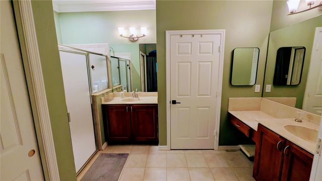 20115 INDIAN ROSEWOOD DRIVE, Tampa, FL 33647