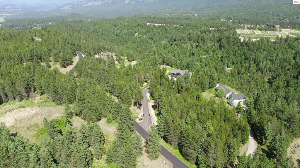 893 Pinnacle Circle, Bonners Ferry, ID 83805 photo 41