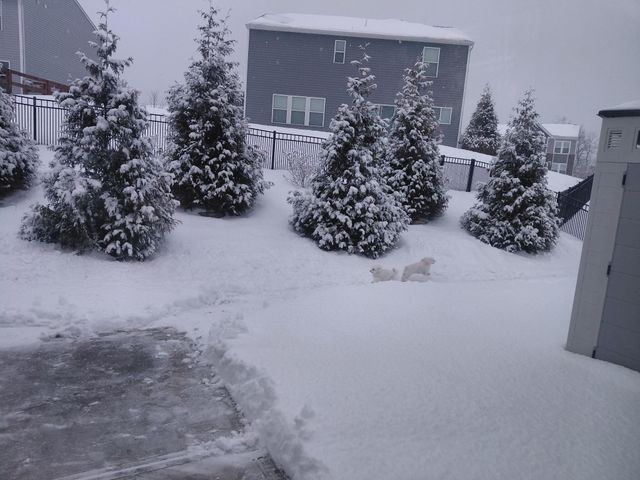 9980 Meadow Glen Drive, Independence, KY 41051