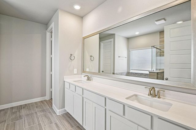 17311 Teddy Trace Drive, Waller, TX 77484