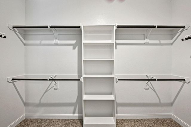 17311 Teddy Trace Drive, Waller, TX 77484