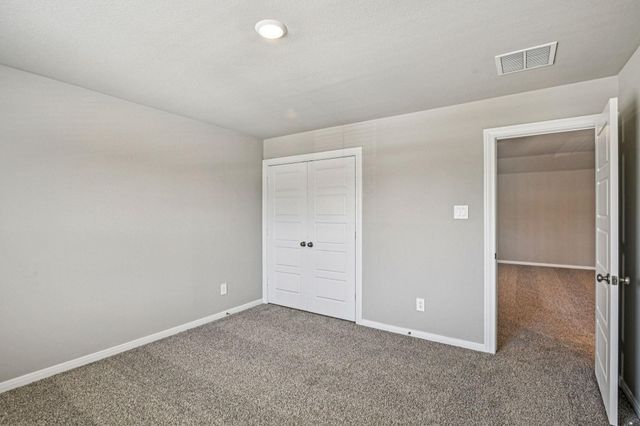 17311 Teddy Trace Drive, Waller, TX 77484