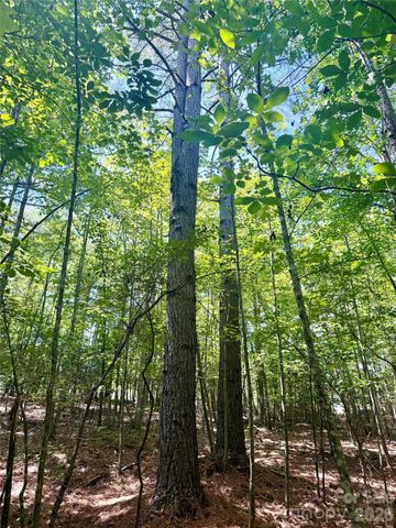 283 Rivercliff Drive, Stony Point, NC 28678