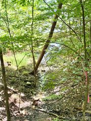 283 Rivercliff Drive, Stony Point, NC 28678