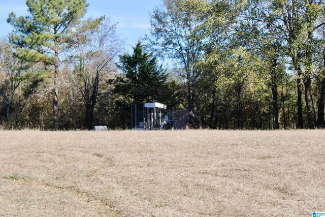 133 THOMPSON DRIVE, Vincent, AL 35178