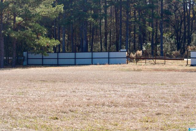 133 THOMPSON DRIVE, Vincent, AL 35178