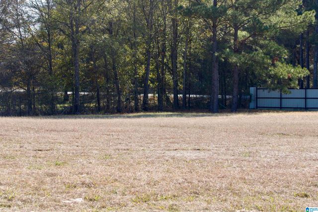 133 THOMPSON DRIVE, Vincent, AL 35178