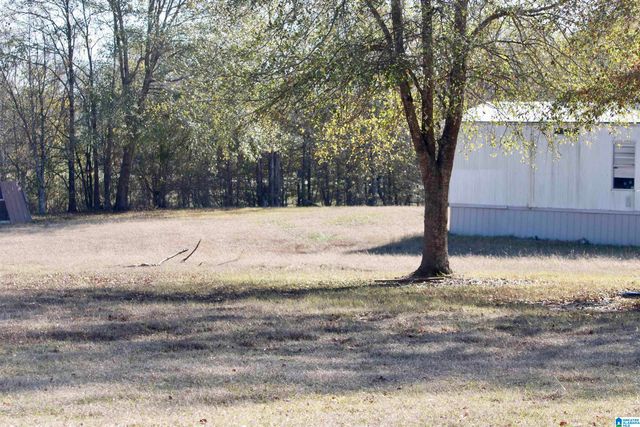 133 THOMPSON DRIVE, Vincent, AL 35178