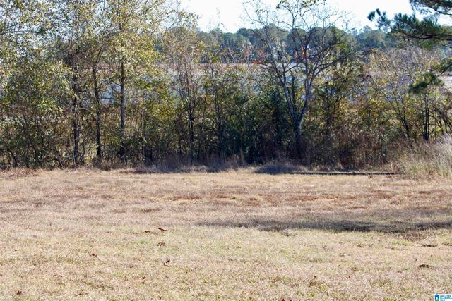 133 THOMPSON DRIVE, Vincent, AL 35178