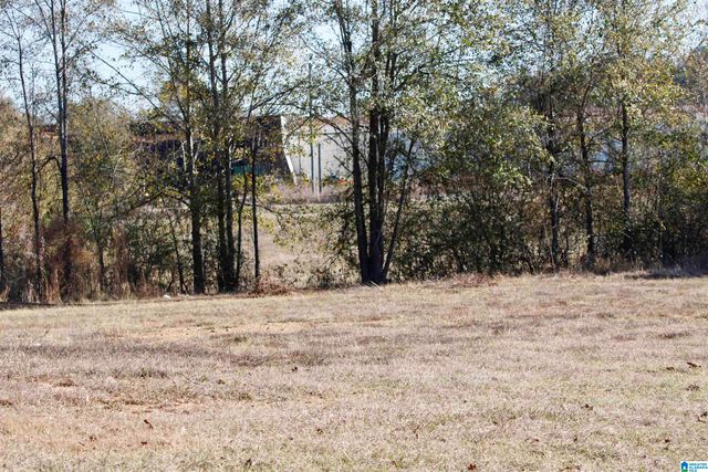 133 THOMPSON DRIVE, Vincent, AL 35178