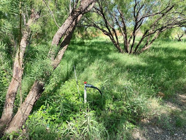 910 Culp Ave, Coahoma, TX 79511