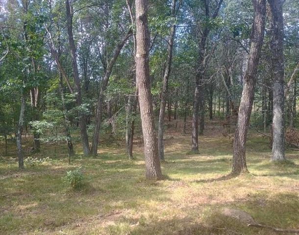 1609 Kingswood Trail, Nekoosa, WI 54457