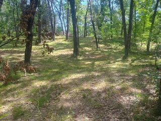 1609 Kingswood Trail, Nekoosa, WI 54457