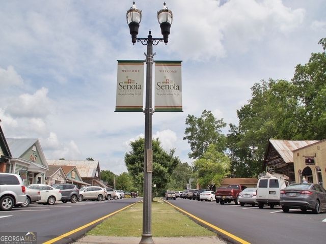 305 Traditions Way, Senoia, GA 30276