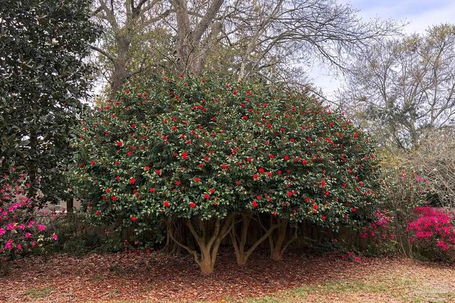 2373 Escambia Ave, Pensacola, FL 32503