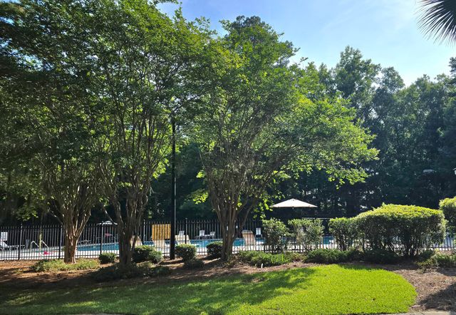 217 Summer Rain Court, Charleston, SC 29414