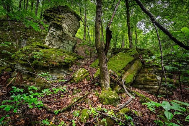 TBD Smokey Bear Road, Fayetteville, AR 72701
