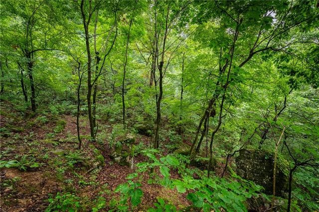 TBD Smokey Bear Road, Fayetteville, AR 72701