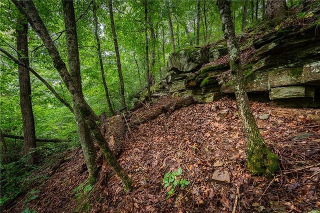 TBD Smokey Bear Road, Fayetteville, AR 72701