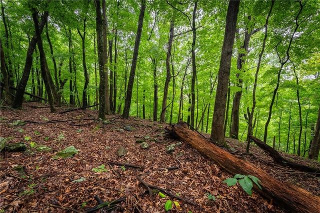 TBD Smokey Bear Road, Fayetteville, AR 72701