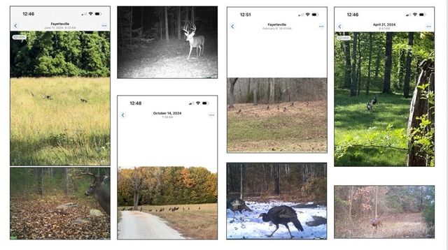 TBD Smokey Bear Road, Fayetteville, AR 72701