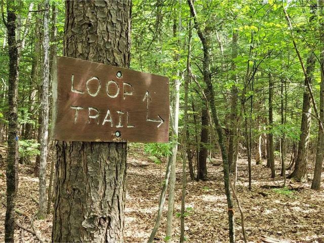 313 North Jefferson Road, South Burlington, VT 05403