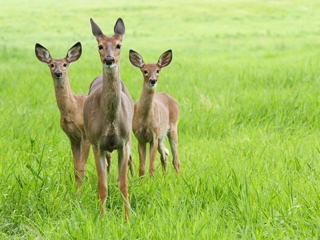 313 North Jefferson Road, South Burlington, VT 05403